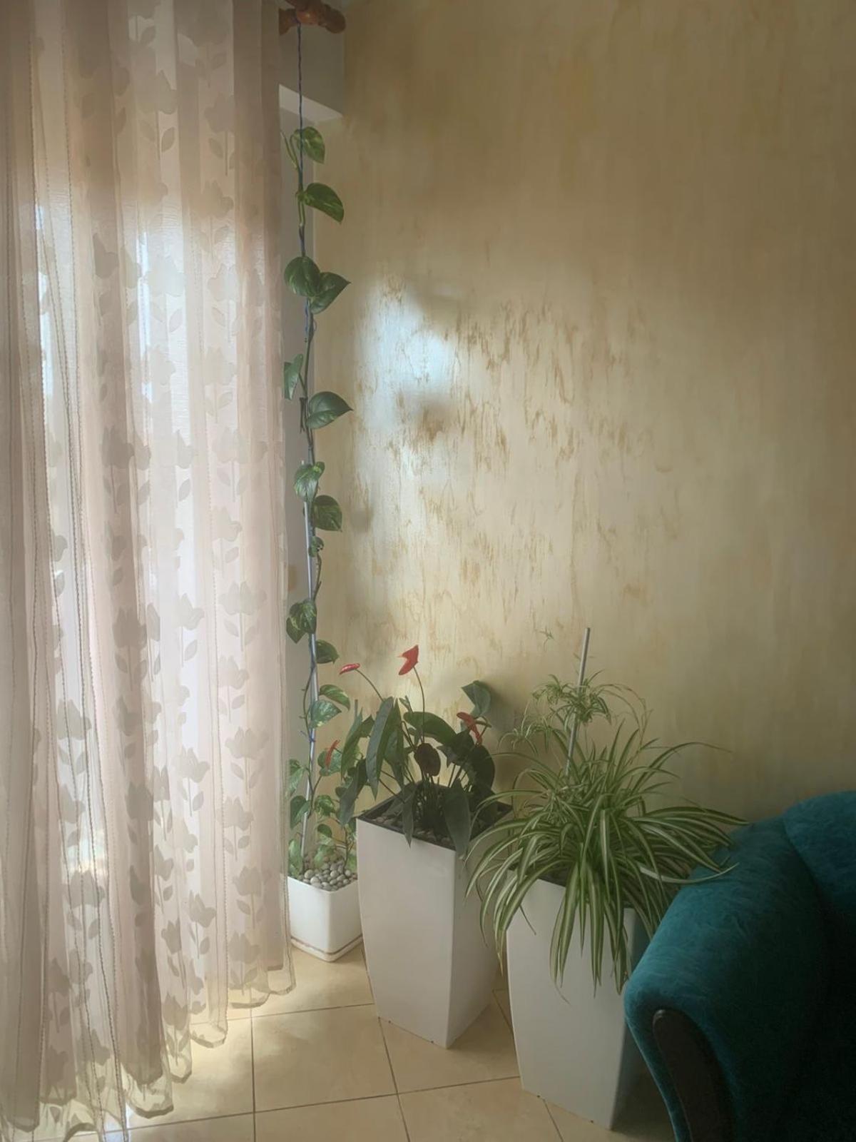 Guest House Fier Zewnętrze zdjęcie
